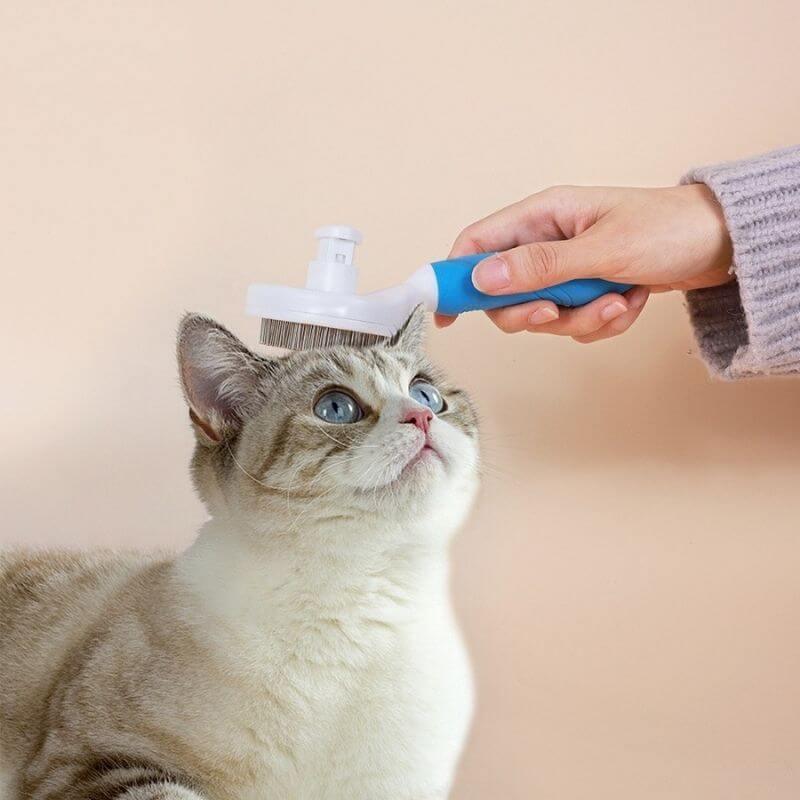 Escova Removedora de Pelos para Cães e Gatos