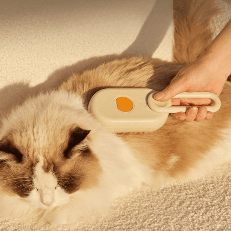 Escova Massageadora para Cães e Gatos