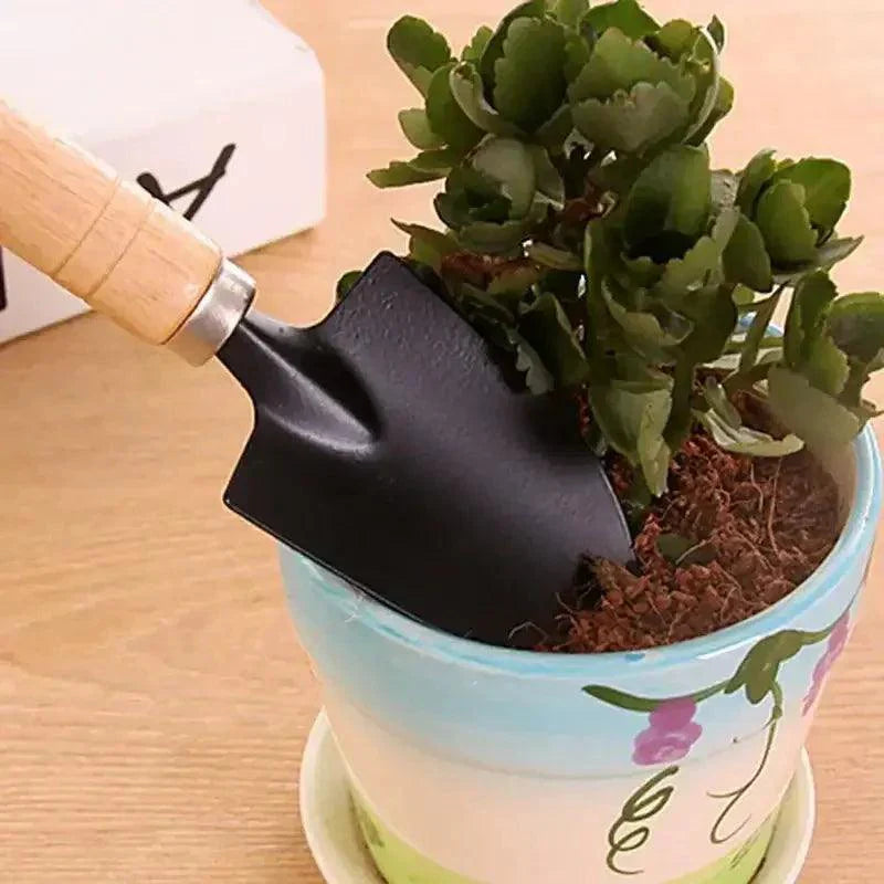 Conjunto com 3 Peças para Plantas e Vasos