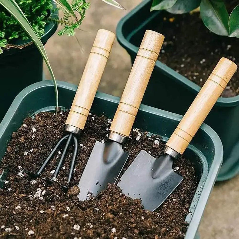 Conjunto com 3 Peças para Plantas e Vasos